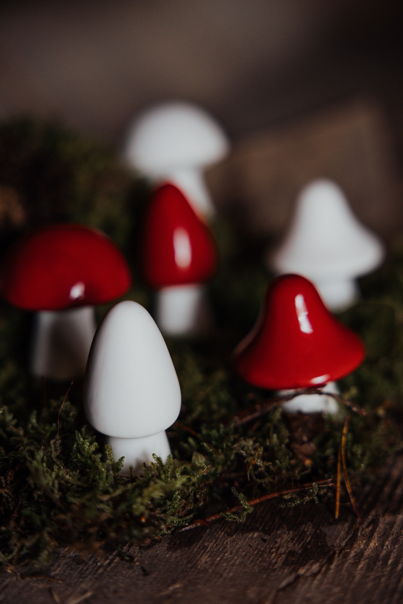 BOSTEN, BOVIK & BOHULT Pilz, 5 ass. – Bild 2