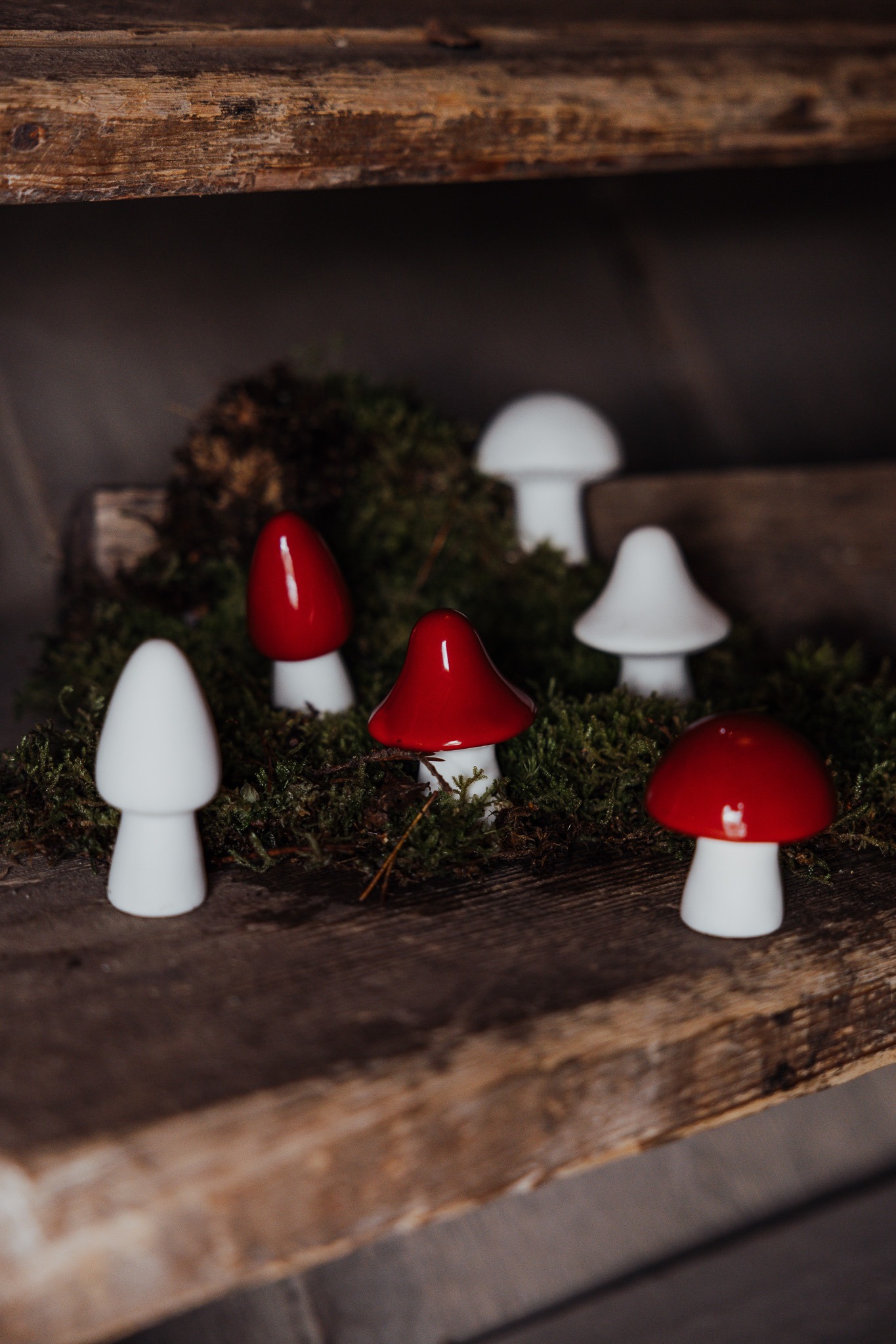 BOSTEN, BOVIK & BOHULT Pilz, 5 ass.